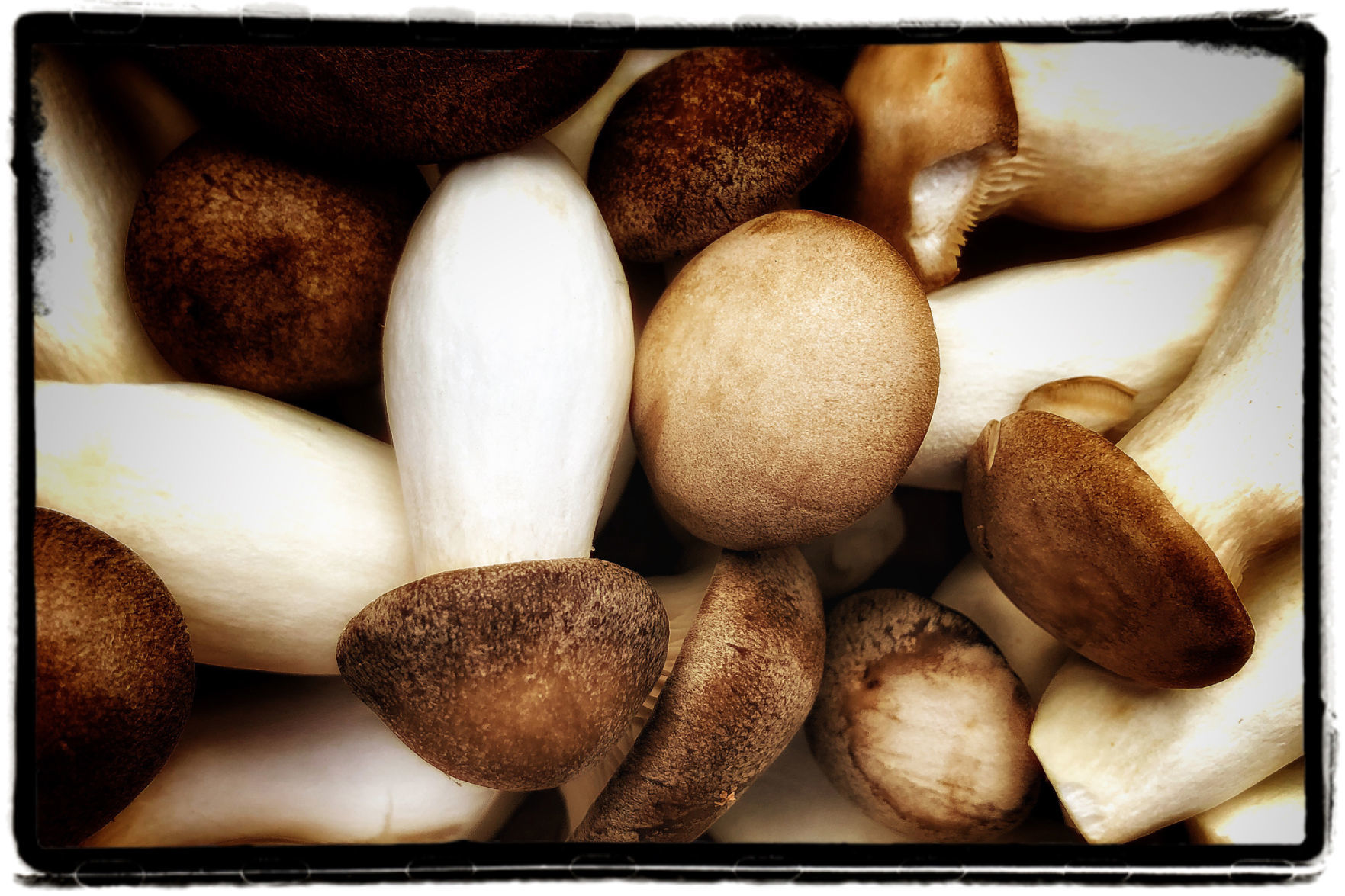 Farmers Market Produce